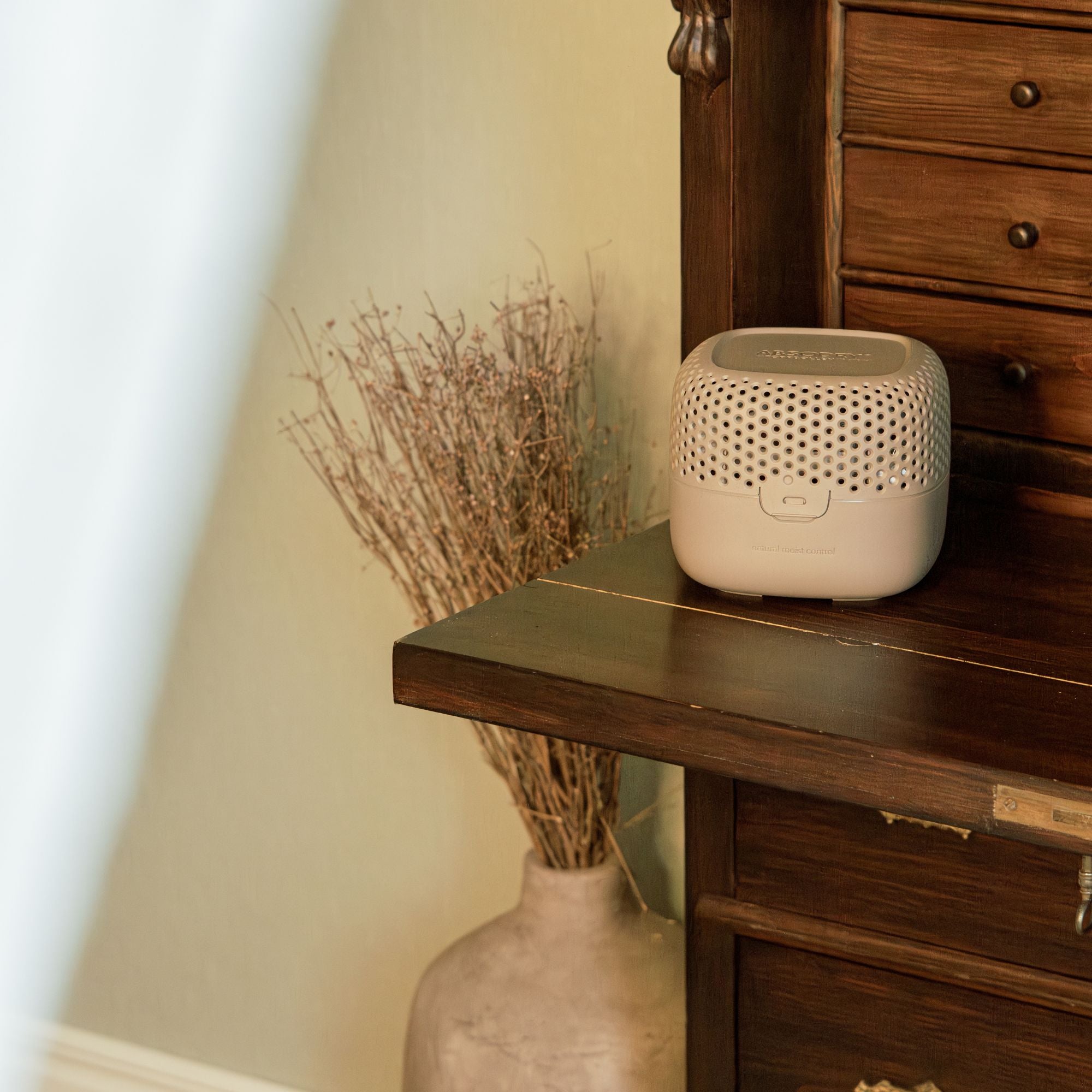 Absodry by Torrbollen Series 3 Nougat