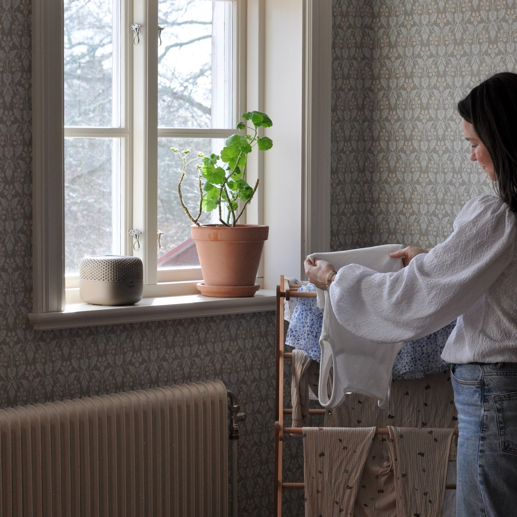 Absodry by Torrbollen Series 3 Nougat