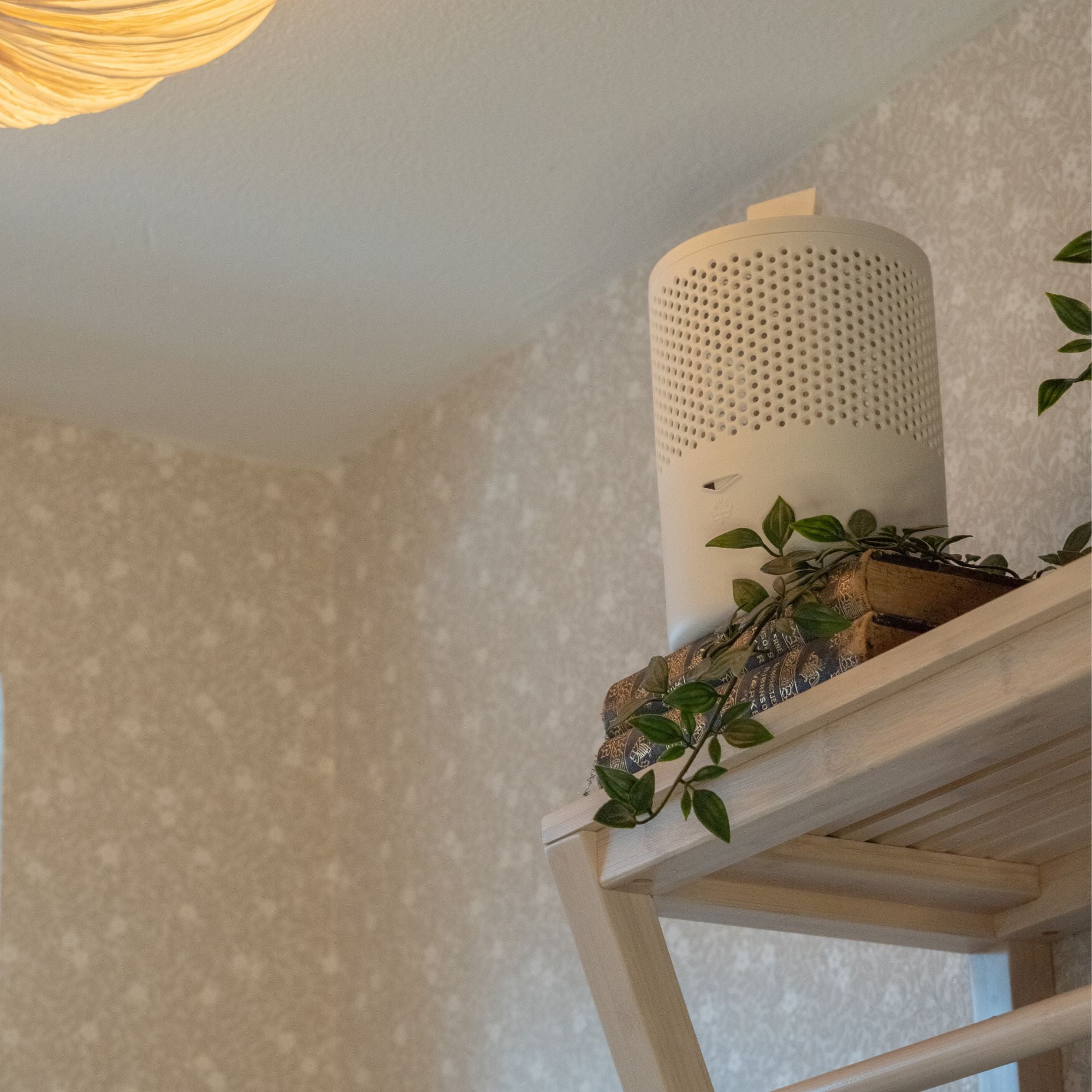 Absodry by Torrbollen Series 6 White