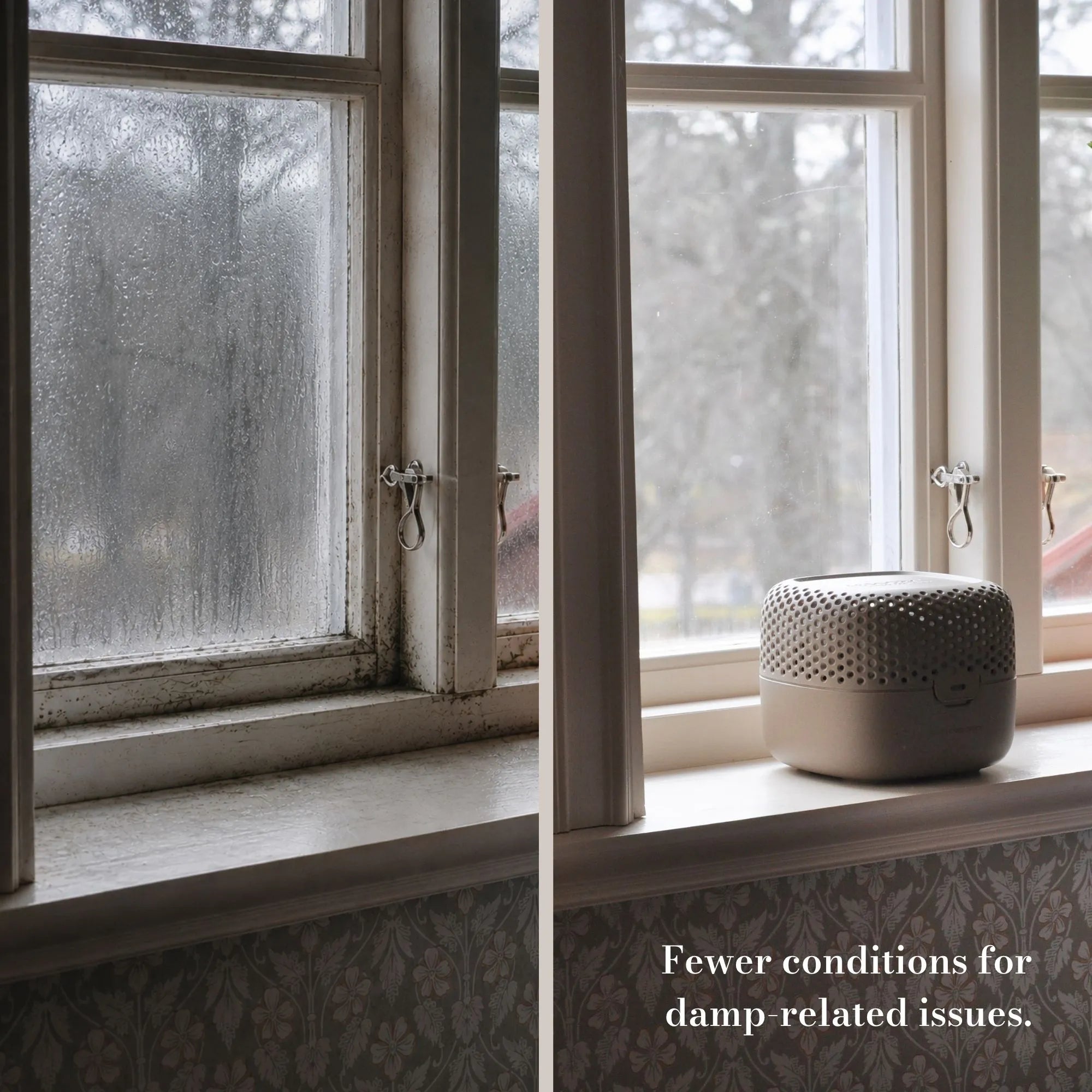 absodry-before-after-condensation-comparison
